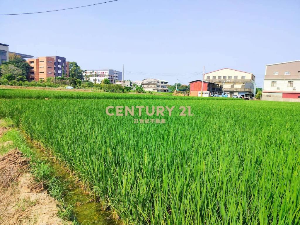 大雅中科特定計畫農地