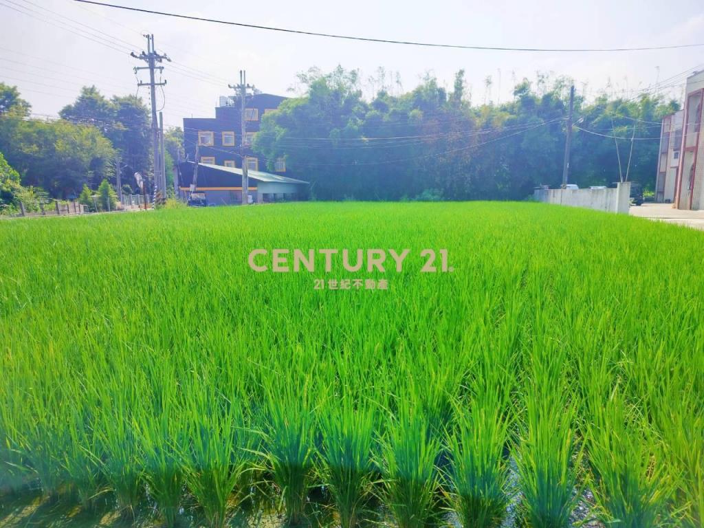 大雅中科特定計畫農地