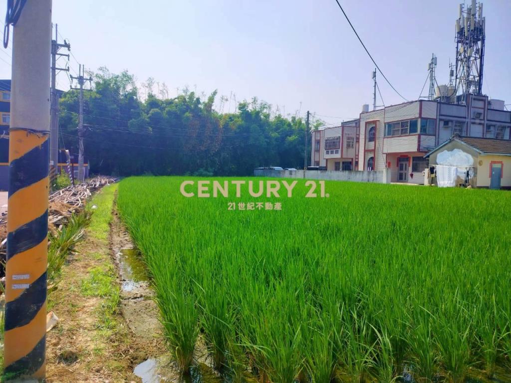 大雅中科特定計畫農地