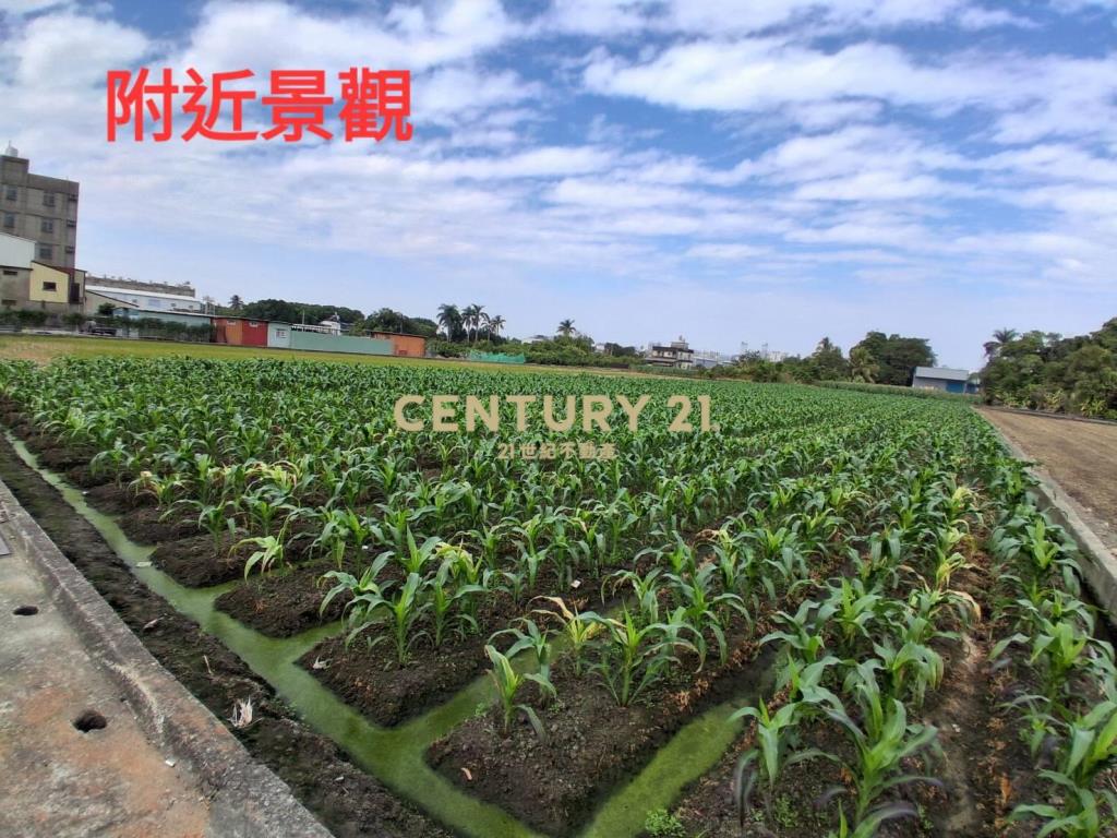 大里路臨路方正農地