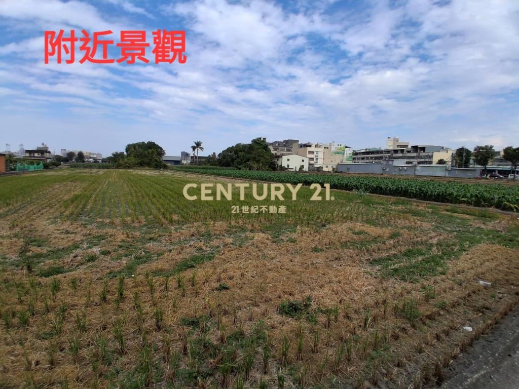 大里路臨路方正農地