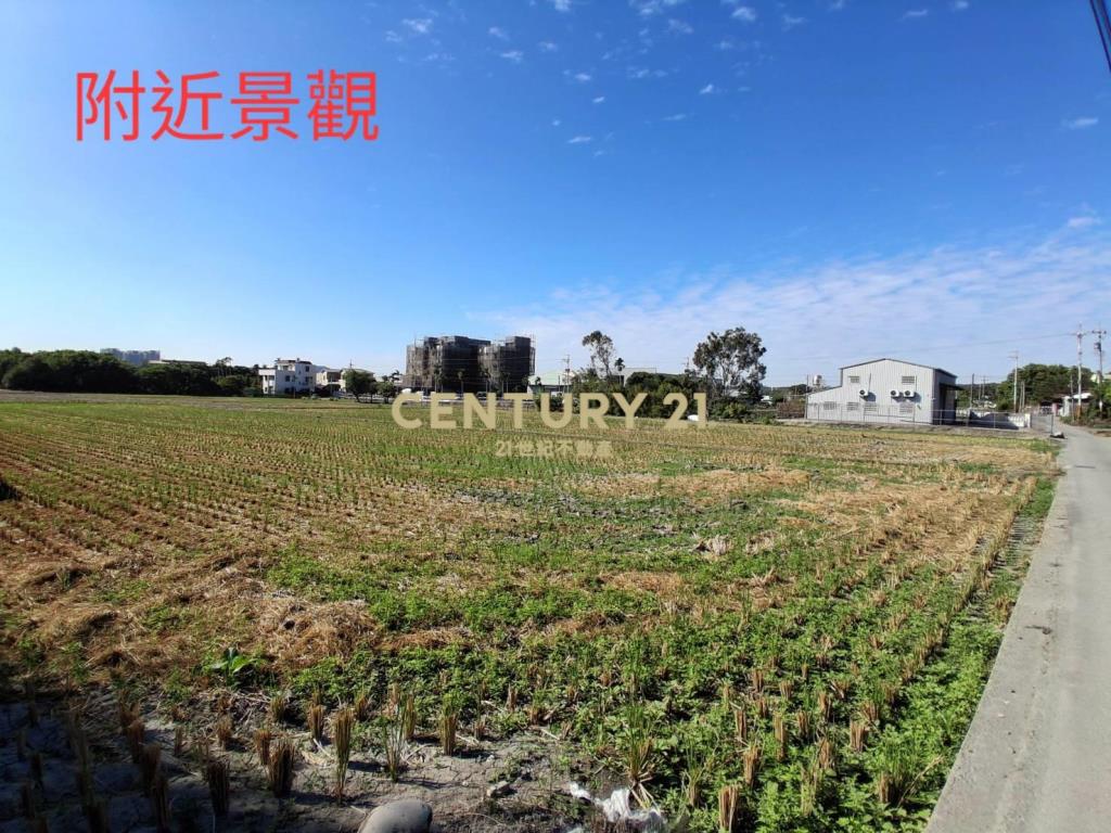 高鐵門戶特區 臨路大面寬農地