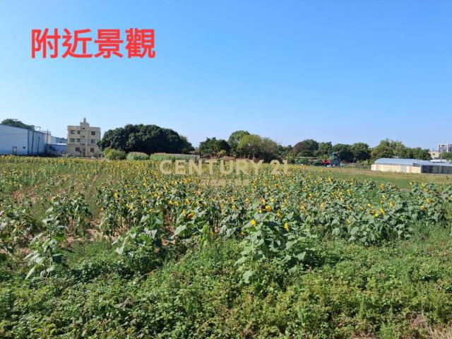 夏田產業園區 臨路大面寬持分農地