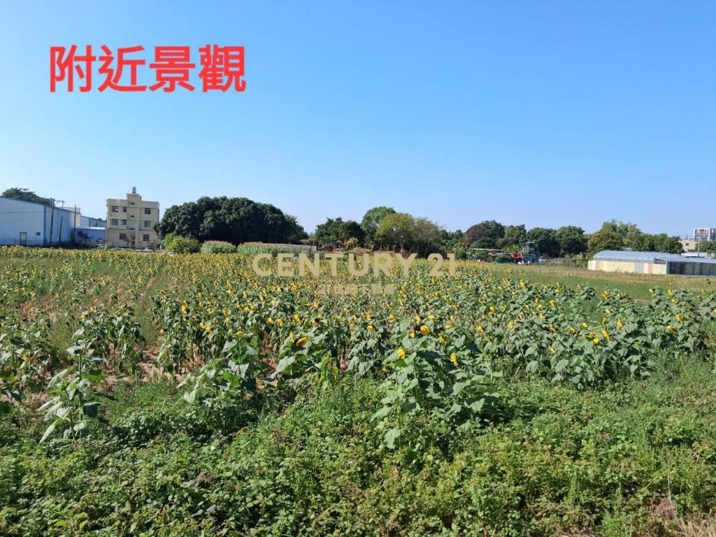 夏田產業園區 臨路大面寬持分農地