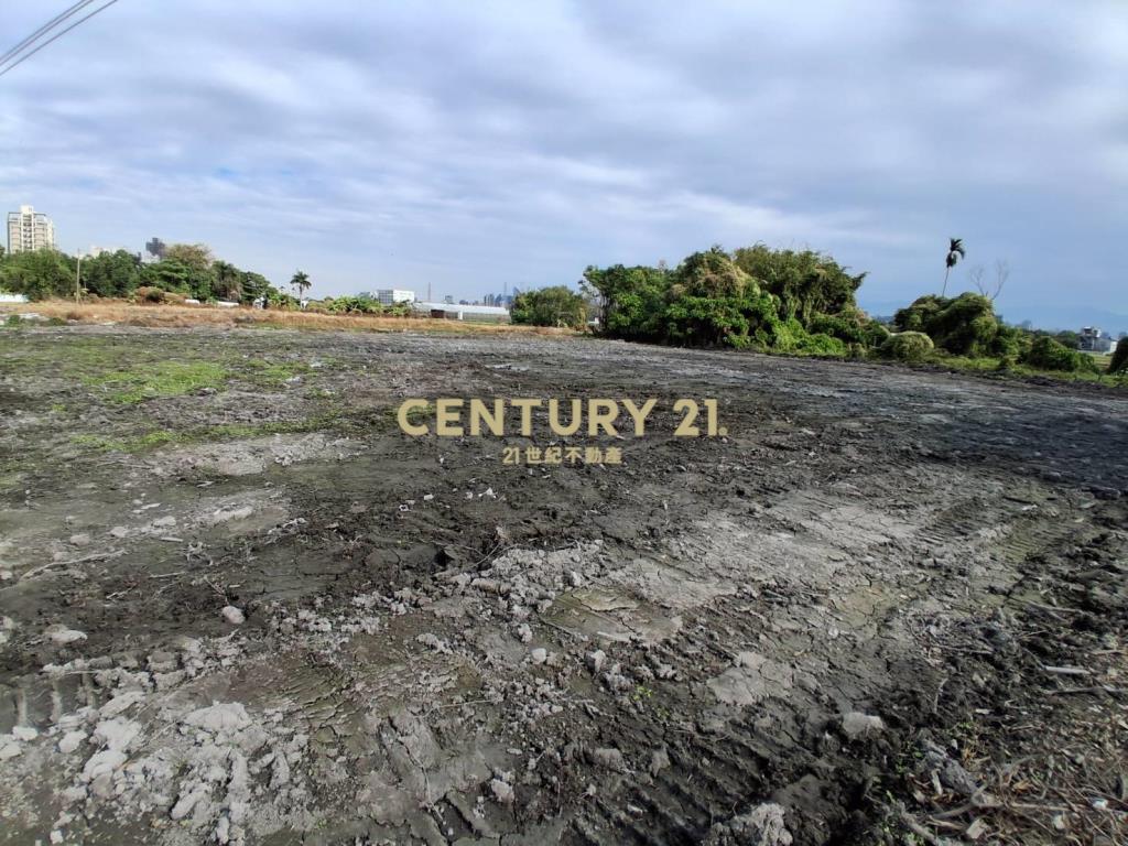 嶺東春社臨路美農地