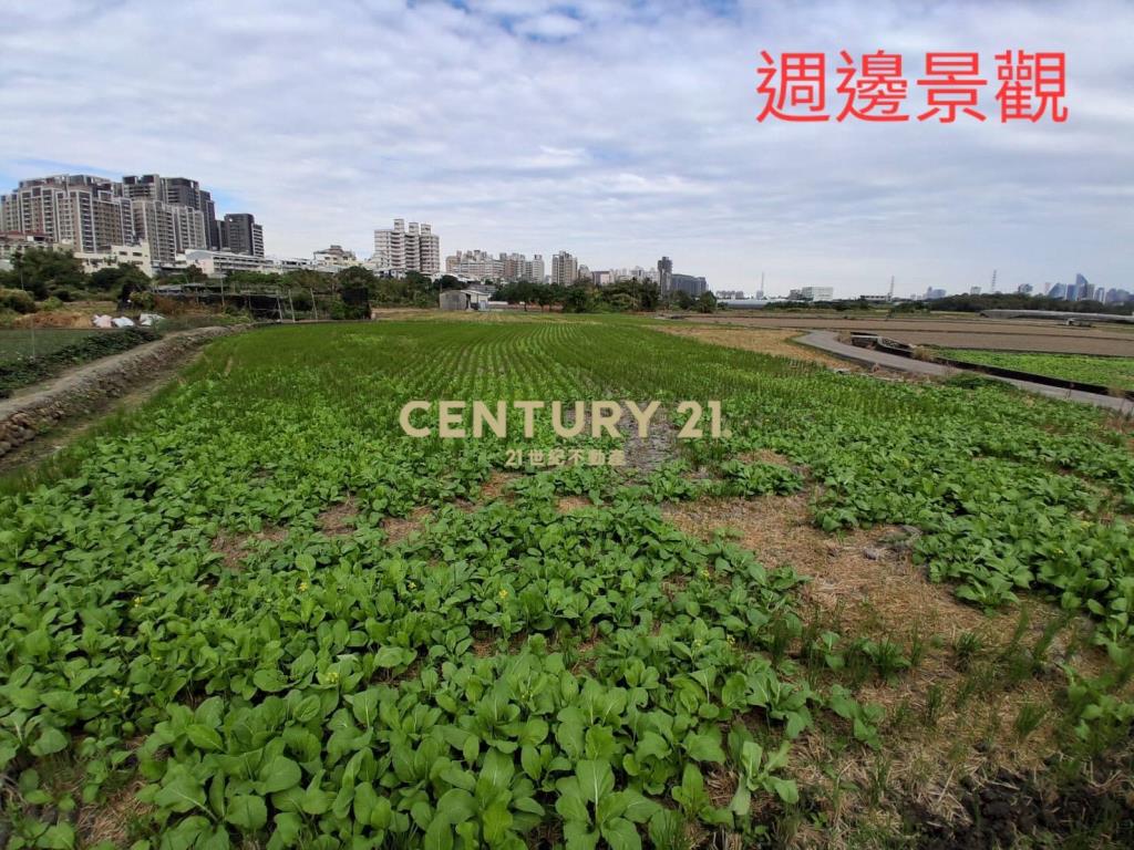 嶺東春社臨路美農地