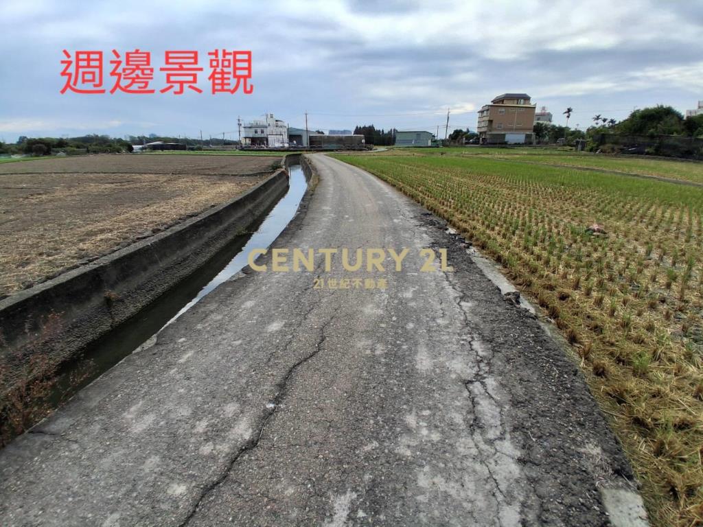 嶺東春社臨路美農地