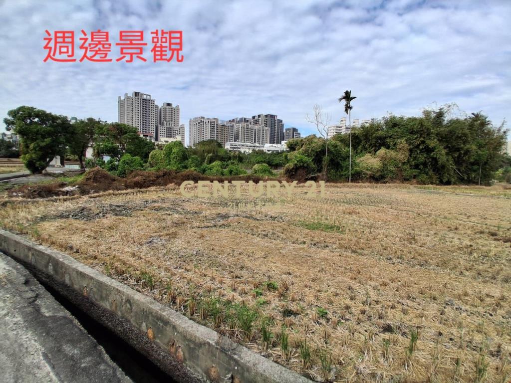 嶺東春社臨路美農地