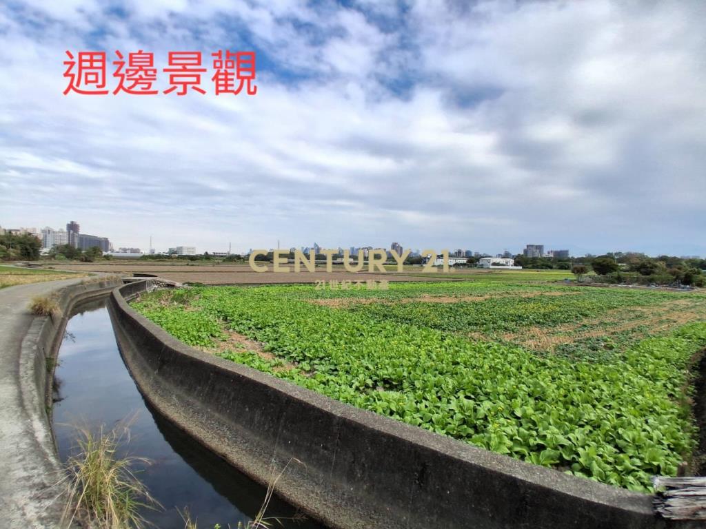 嶺東春社臨路美農地