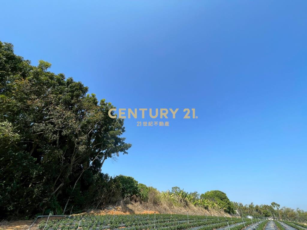 南崗工業區超值農地