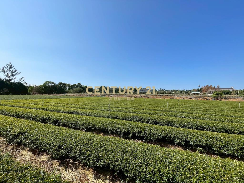 南崗工業區超值農地