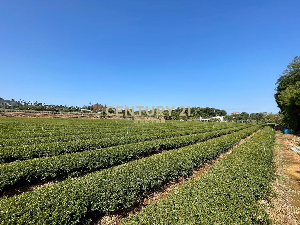 南崗工業區超值農地