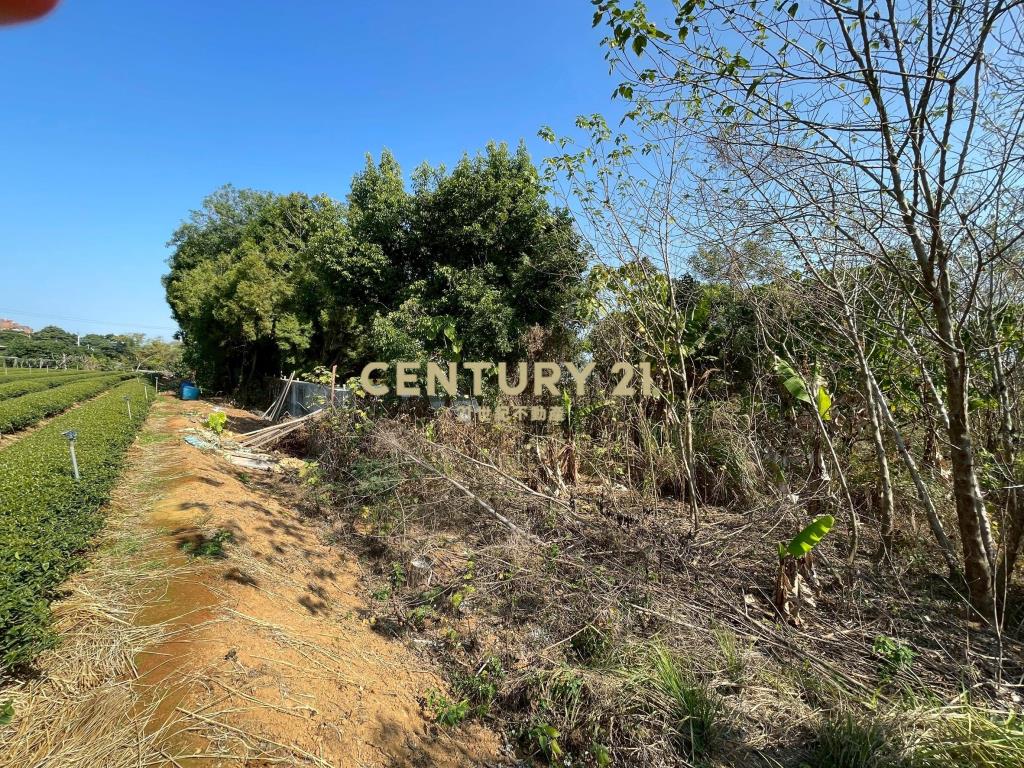 南崗工業區超值農地