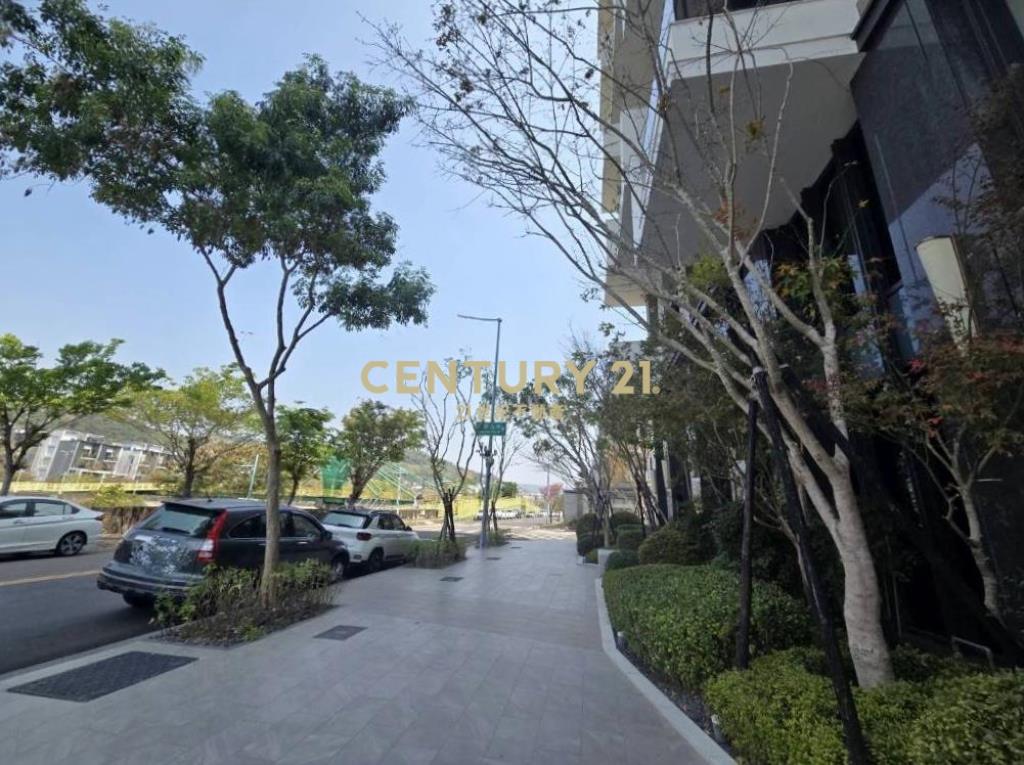 情定水蓮17全新樓店雙平面車位