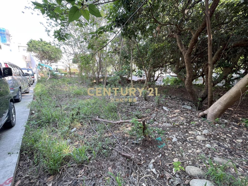 神岡區潭雅神綠園道土地