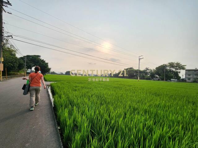 大里三期臨路土地