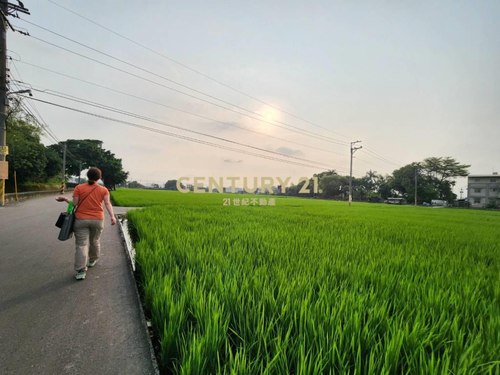 大里三期臨路土地