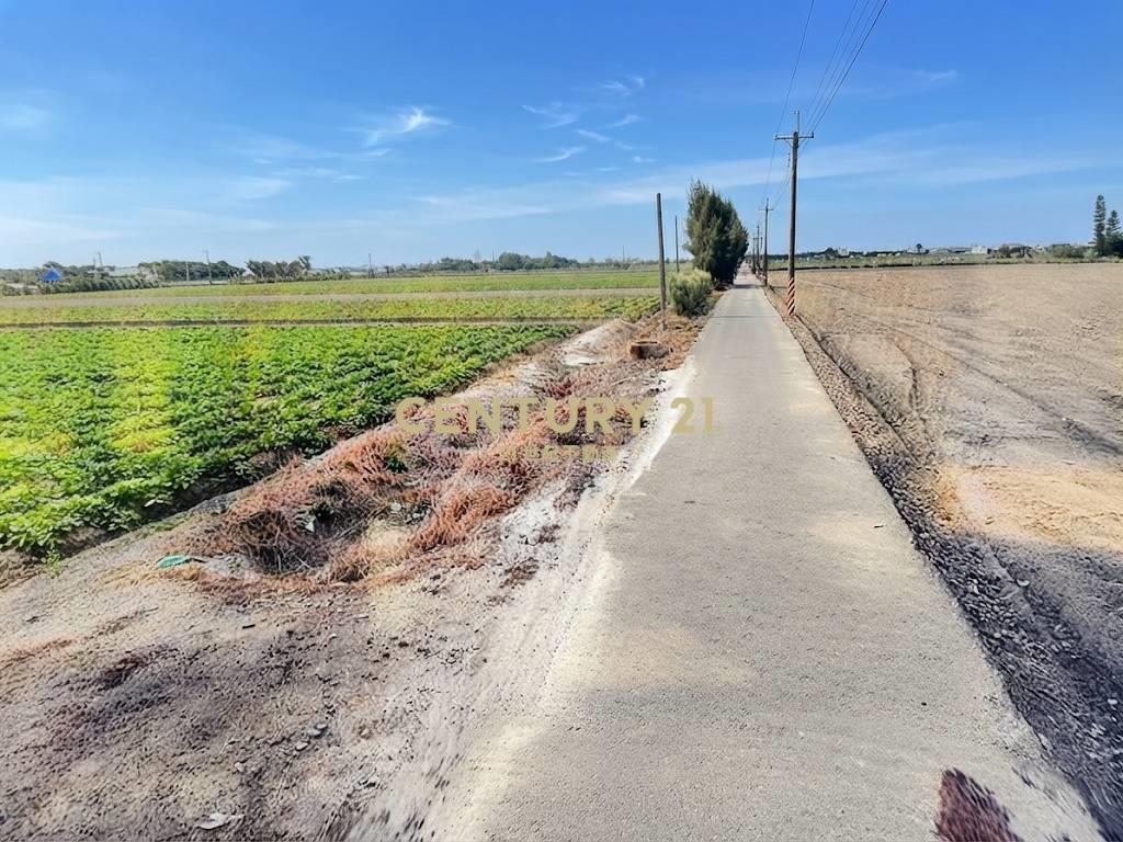 雲林崙背貓兒干方正俗農地