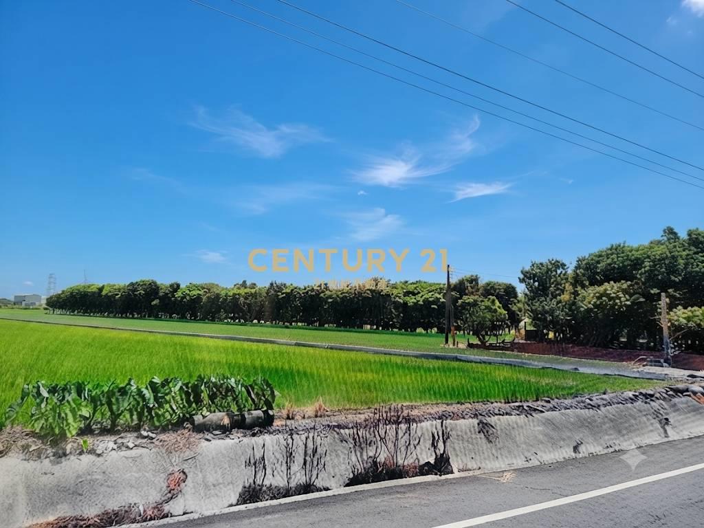 雲林崙背貓兒干方正俗農地