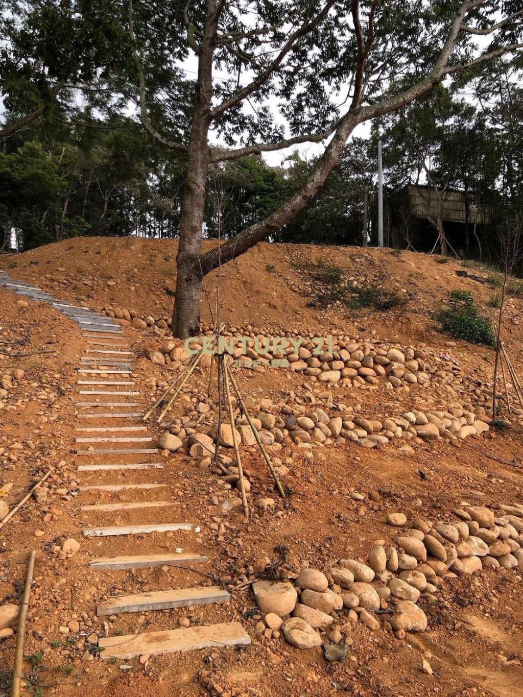 松柏嶺超值大農地