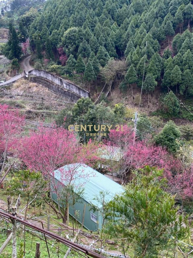 東勢軟埤坑快樂農場