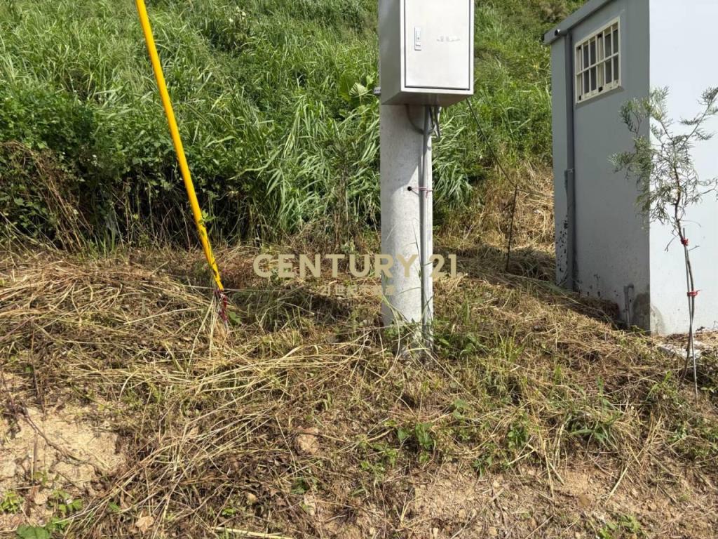 東勢高工旁小而美農地