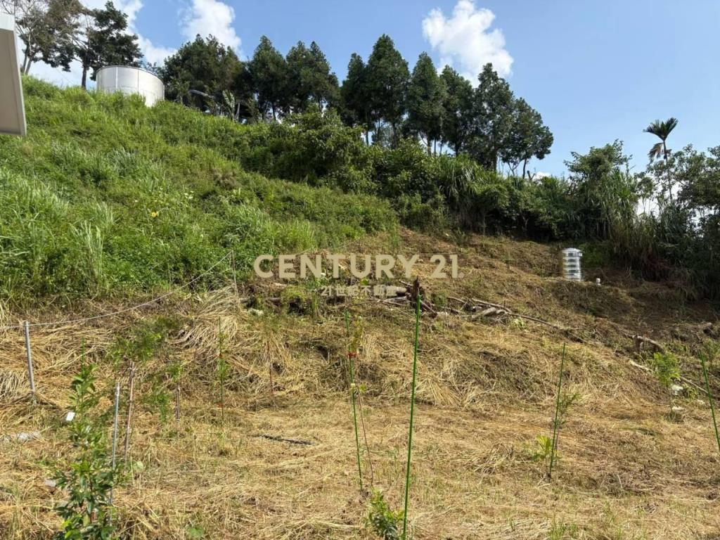 東勢高工旁小而美農地