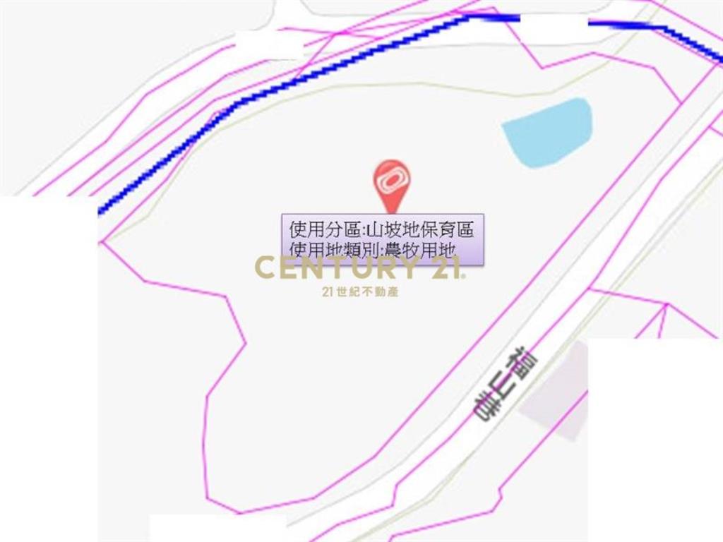 低總價中寮近千坪有水有電香蕉園