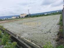草屯新光段3分大農地