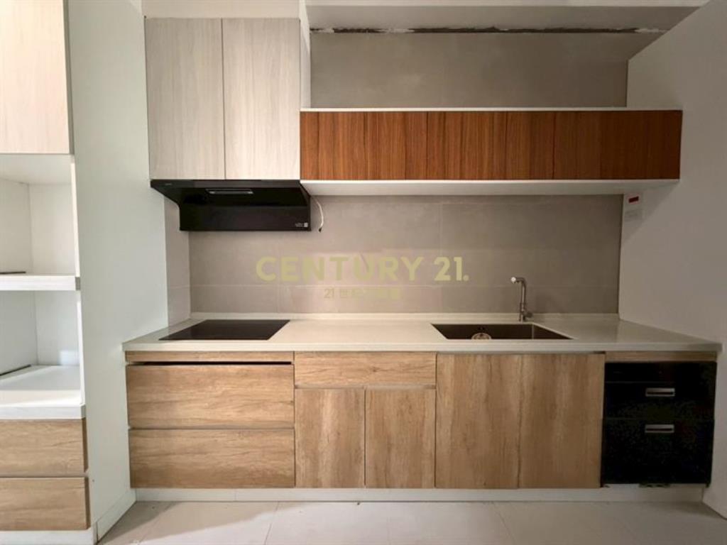 大雅仁愛路面公園全新電梯透天