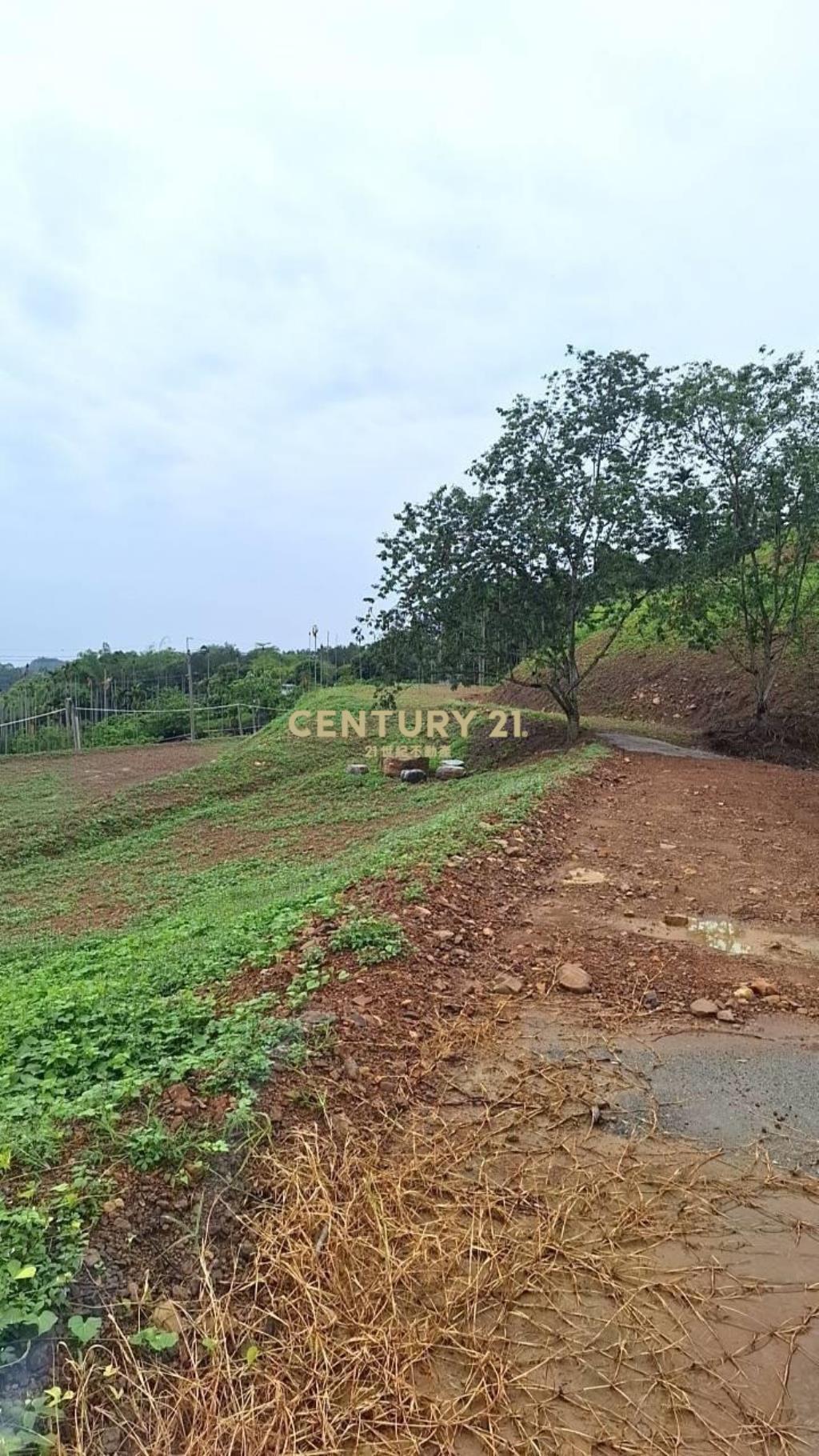 空氣清新.地勢平緩中寮景觀農地