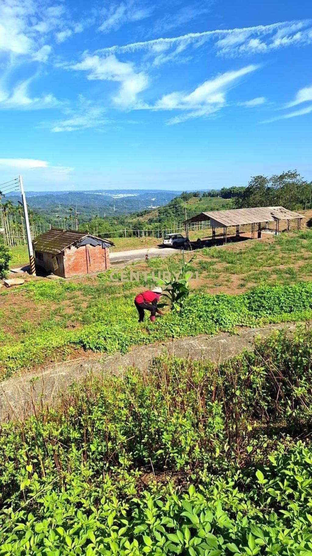 空氣清新.地勢平緩中寮景觀農地