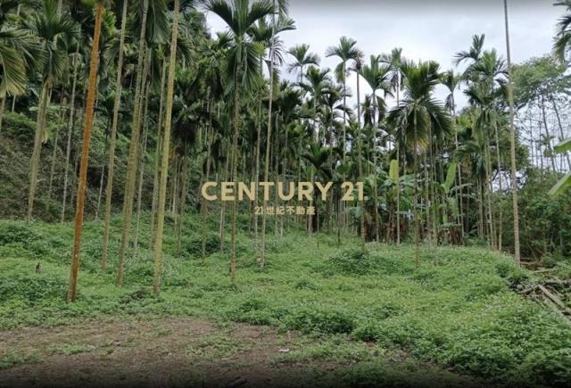 南投水里.5.5分地開心農場