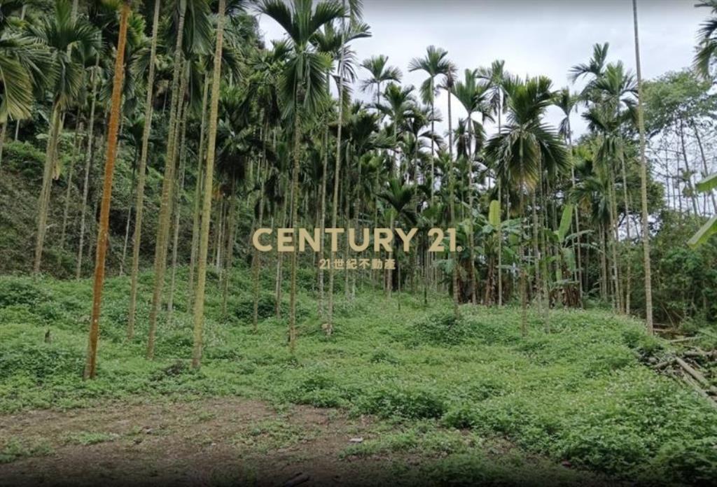 南投水里.5.5分地開心農場