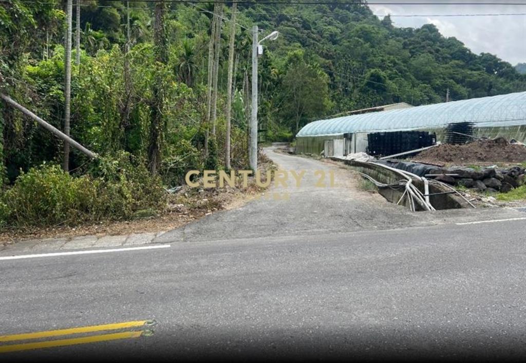 南投水里.5.5分地開心農場