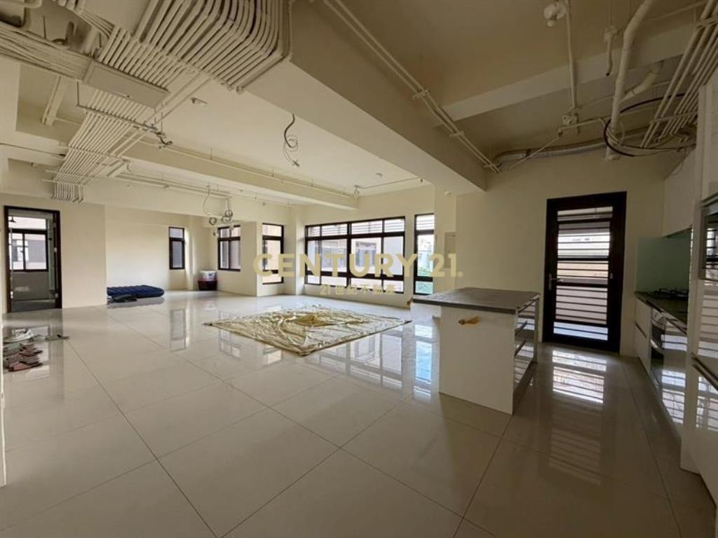 國美晴空全新未住雙平車