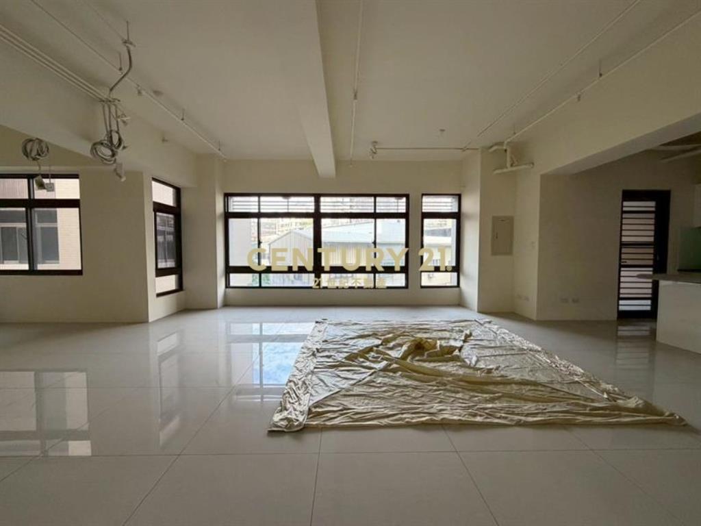 國美晴空全新未住雙平車