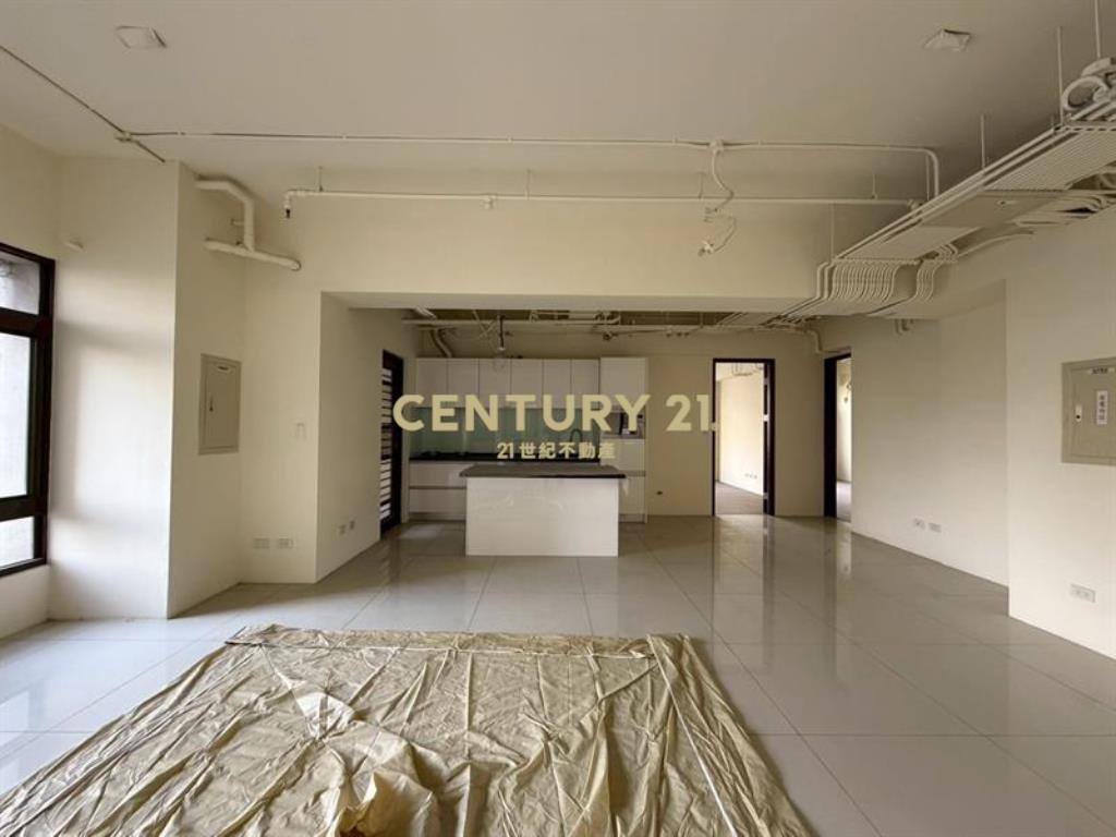 國美晴空全新未住雙平車