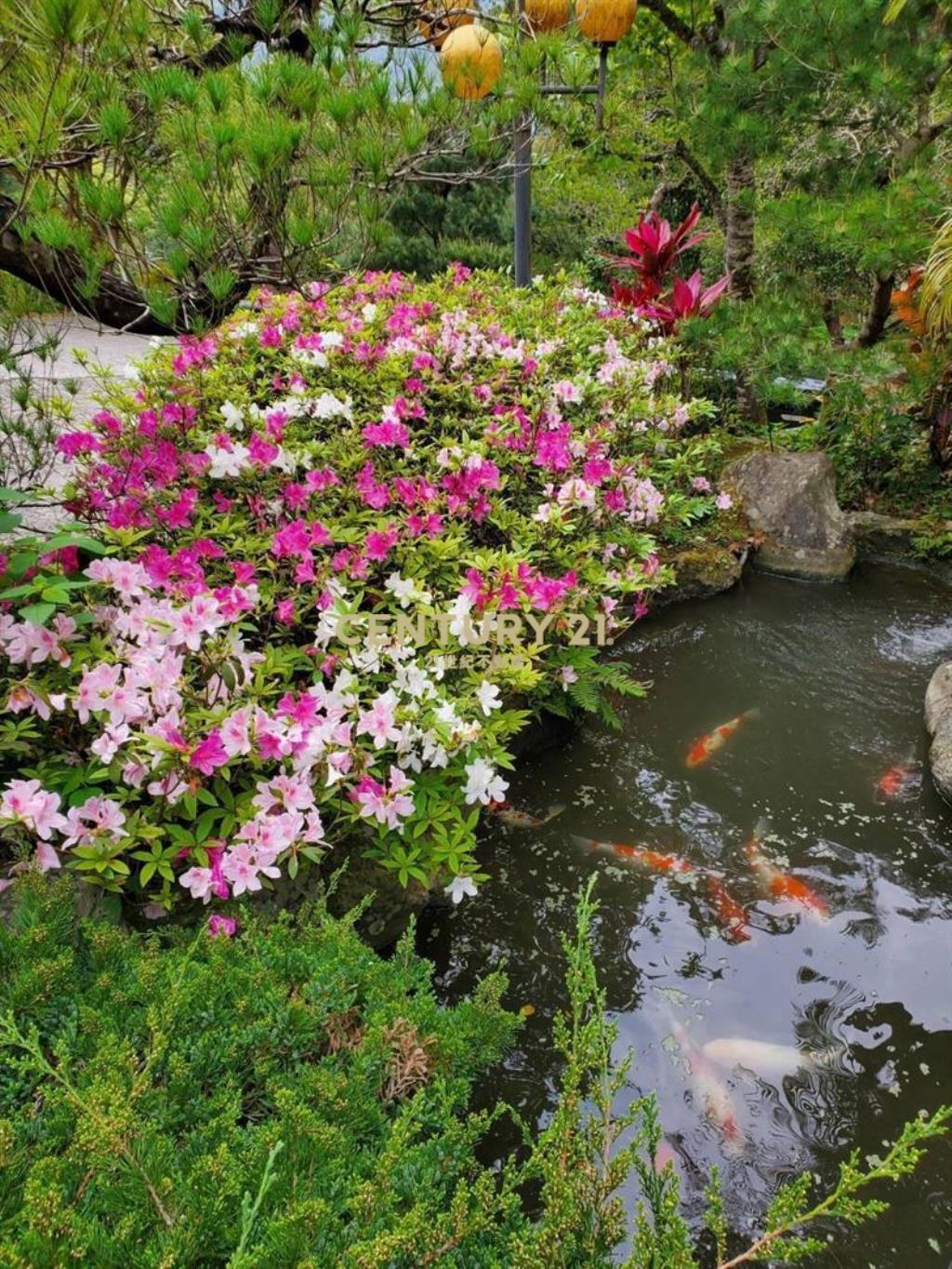 南庄千坪土地渡假山莊別墅