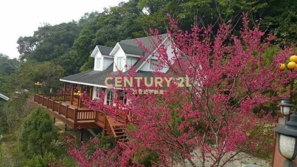 南庄君臨天下綠意山景別墅