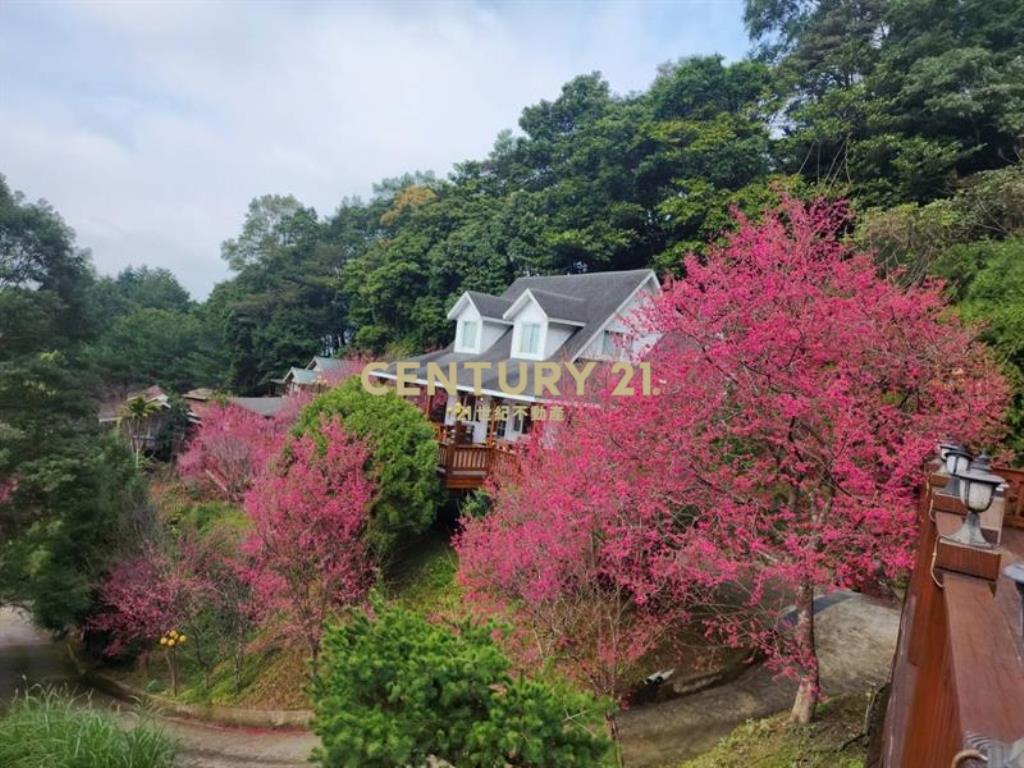 南庄君臨天下綠意山景別墅