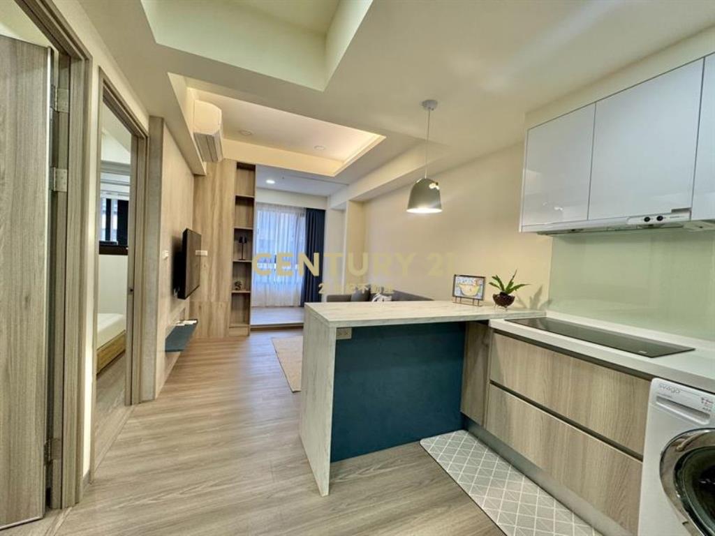 秀泰旁@台中新站2房平車