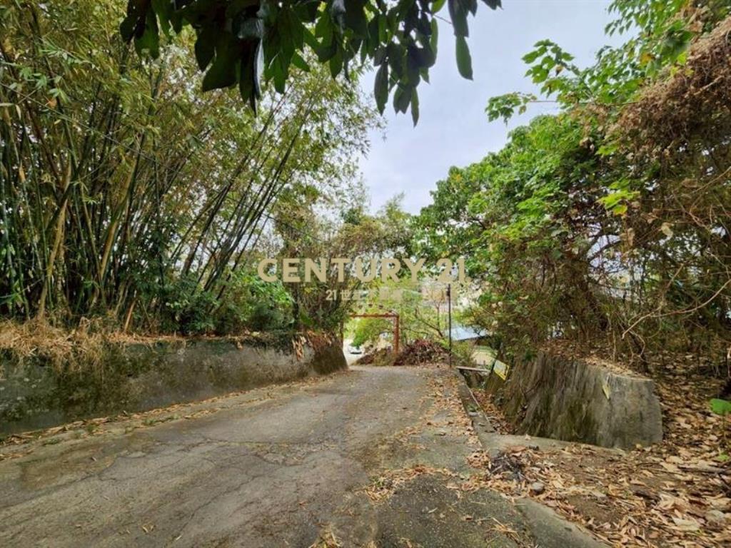 葫蘆墩大面寬農建地