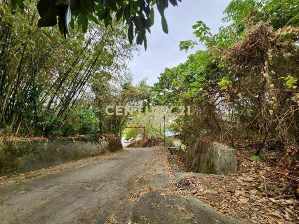 葫蘆墩大面寬農建地