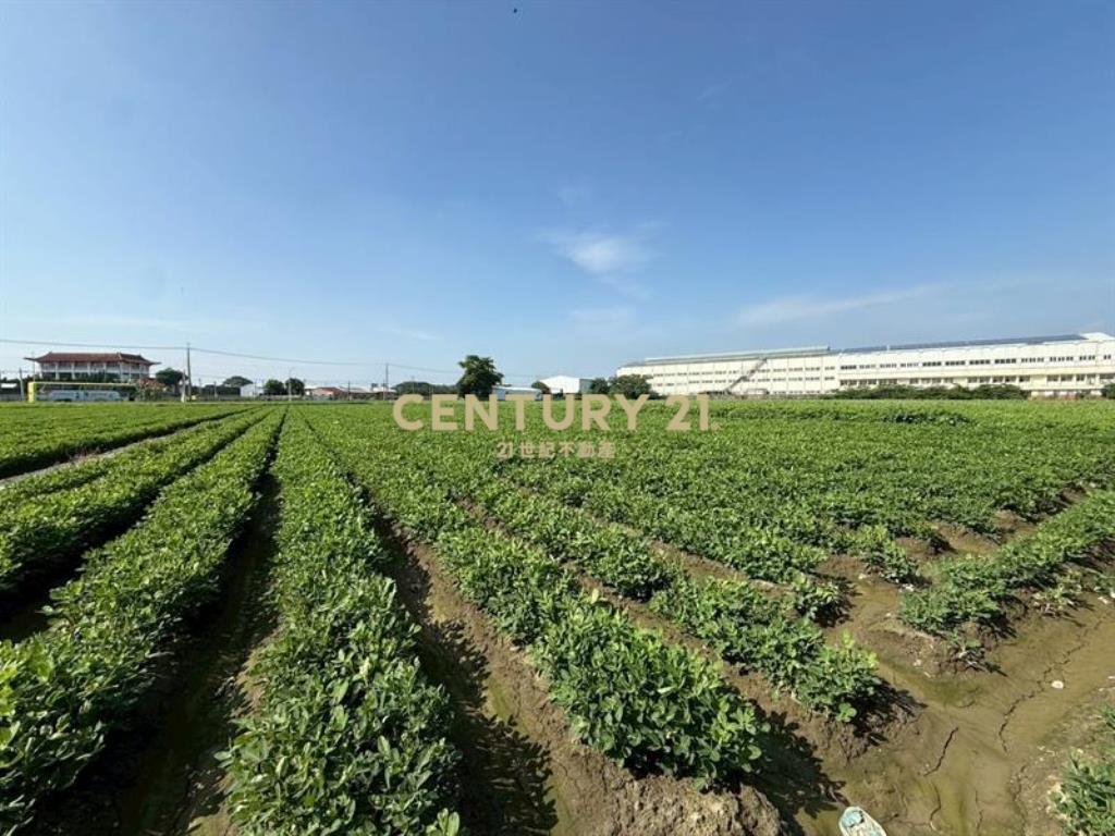 土庫乙工土地稀有釋出4