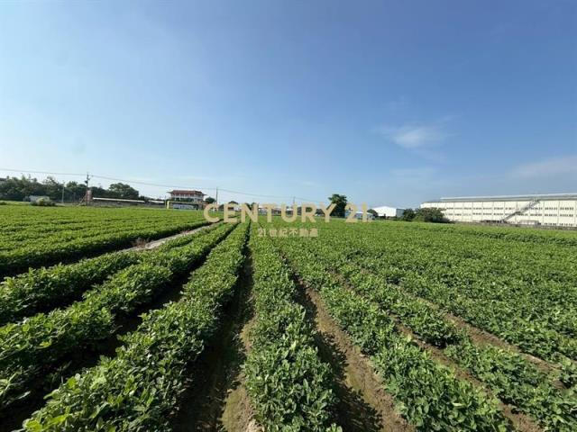 雲林土庫乙工土地稀有釋出8