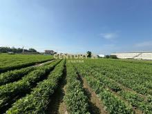 雲林土庫乙工土地稀有釋出8