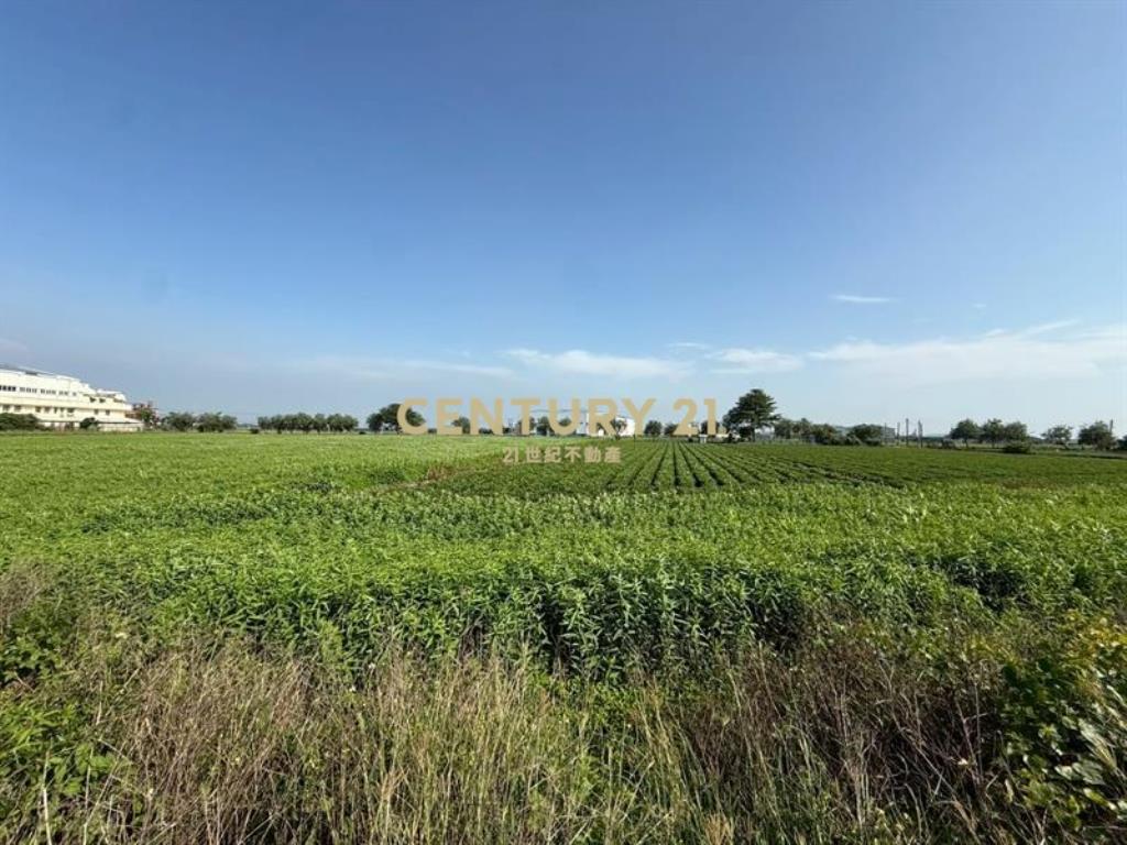 雲林土庫乙工土地稀有釋出8