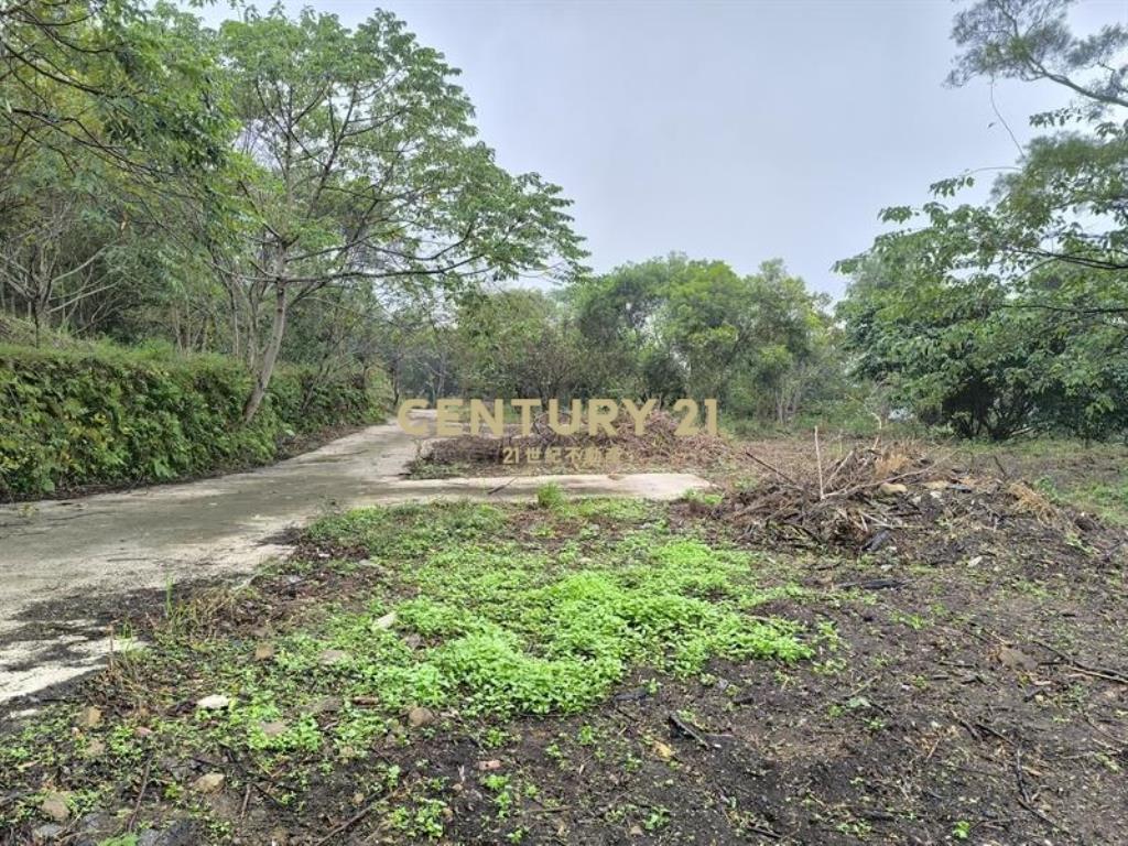 苗栗近南庄老街農牧用地