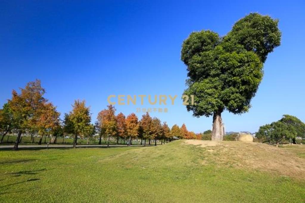 單元12南興公園7米大面寬建地